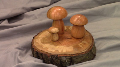 Woodturning Mushrooms On A Log