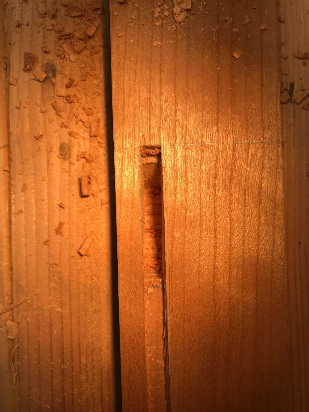 The Mortise and Tenon Joint Samuel Colchamiro