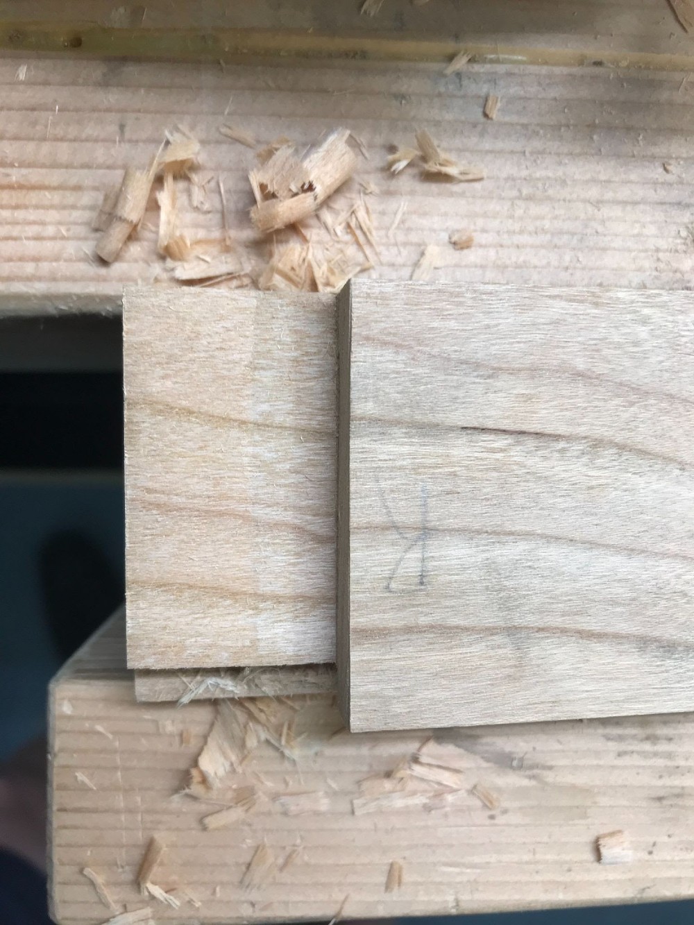 The Mortise and Tenon Joint Samuel Colchamiro